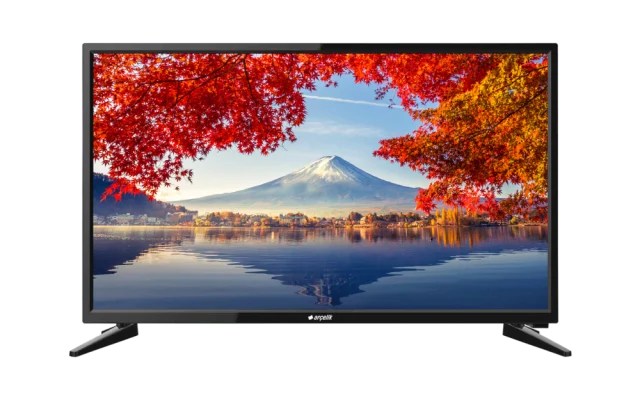 A24L 5845 4B /24" HD Uydu Alıcılı LED & LCD TV